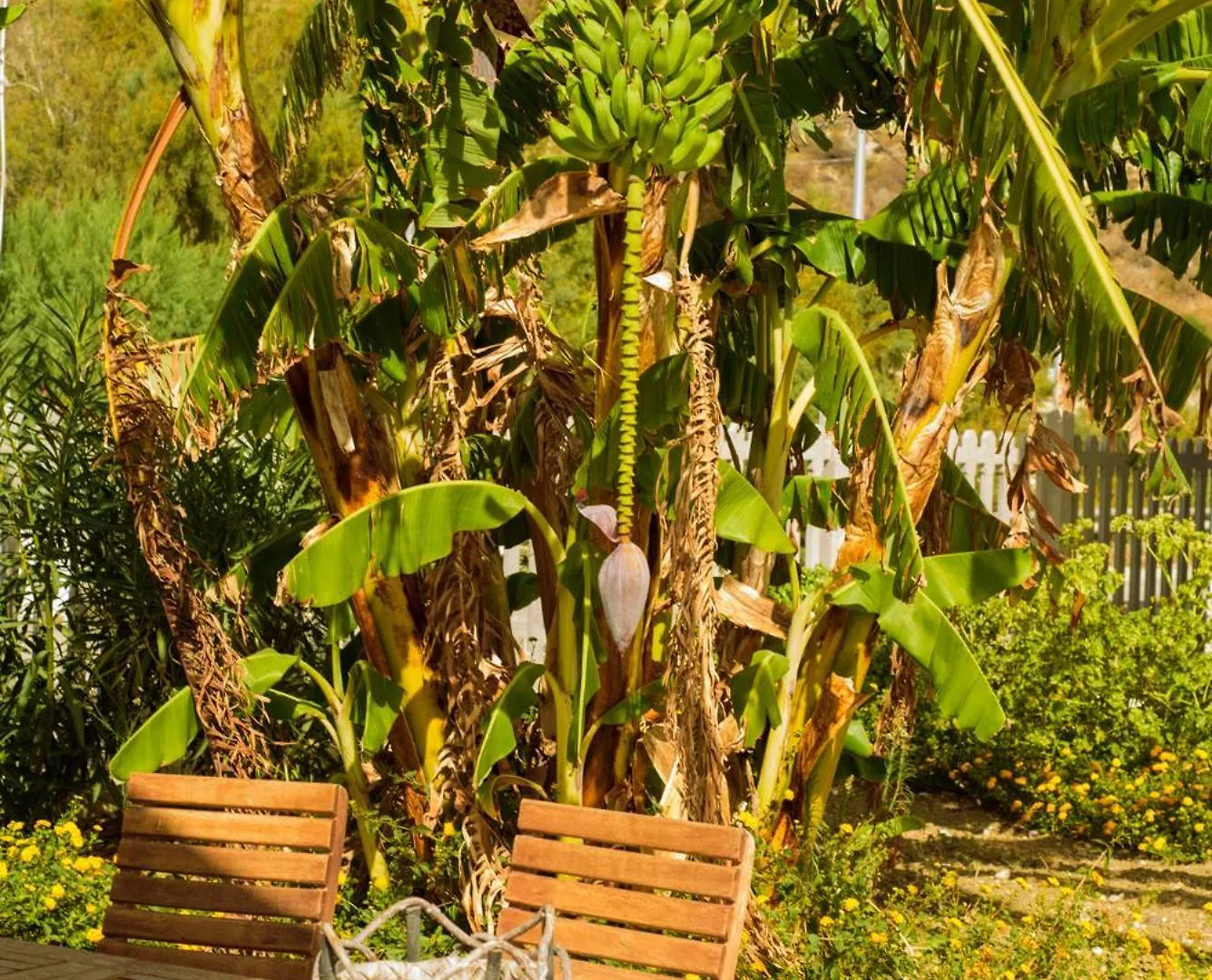 Bed & Breakfast B&B Fermata 106 Da Carolina Siculiana Marina